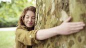 La sylvothérapie ou quand les arbres soignent nos maux