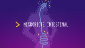 Microbiote intestinal, cerveau et burn-out