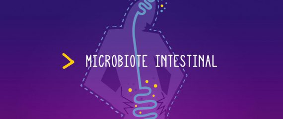 Microbiote intestinal, cerveau et burn-out